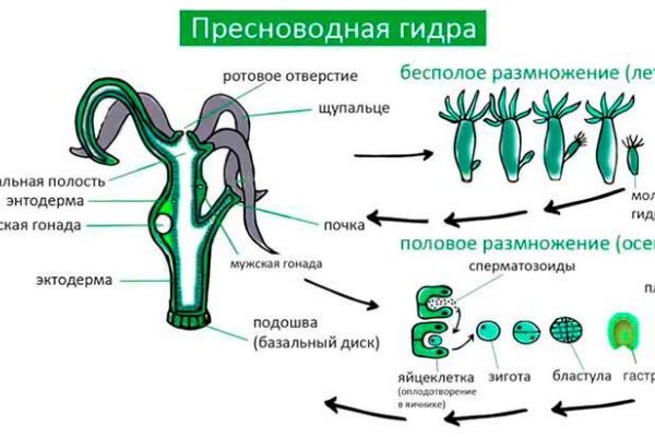 Что такое кракен сайт