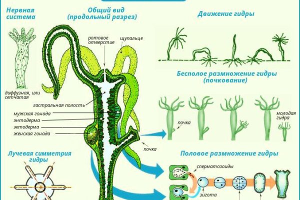 Восстановить аккаунт кракен