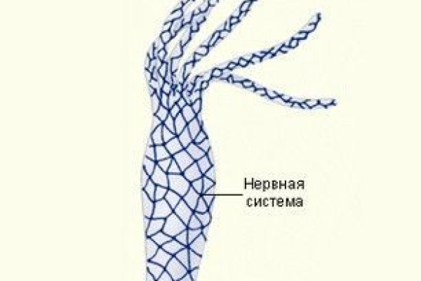 Сайты для даркнета