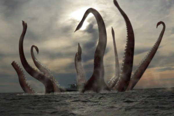 Kraken 17 at