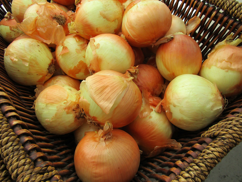 Ссылки кракен телеграф