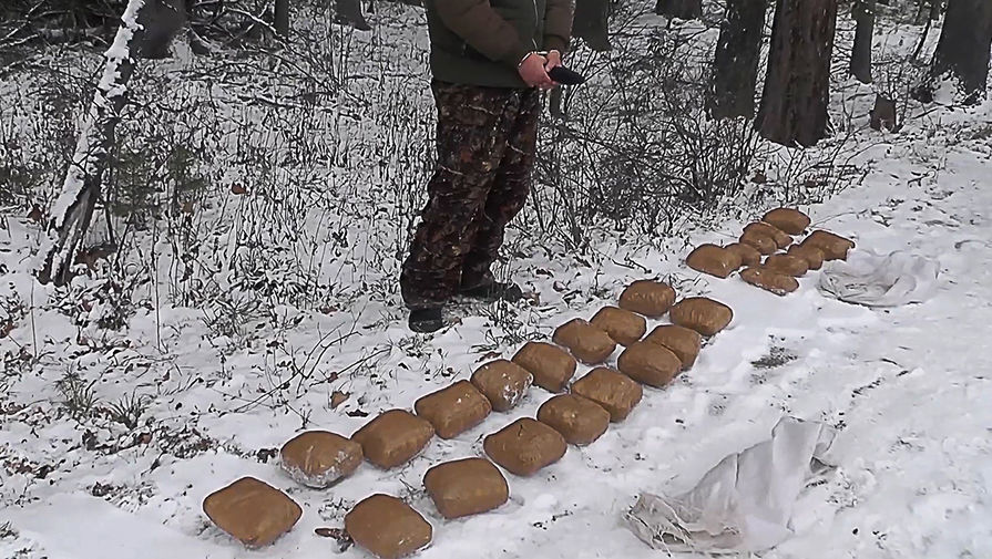 Сайты типа гидры